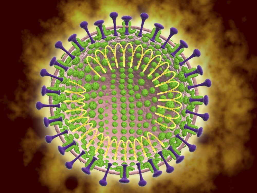 Conceptual image of the coronavirus Canvas Art - Stocktrek Images (17 x 13)
