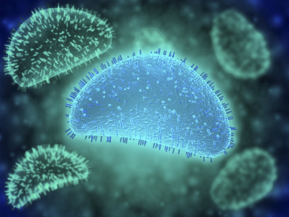 Conceptual image of the influenza causing flu virus Canvas Art - Stocktrek Images (33 x 25)