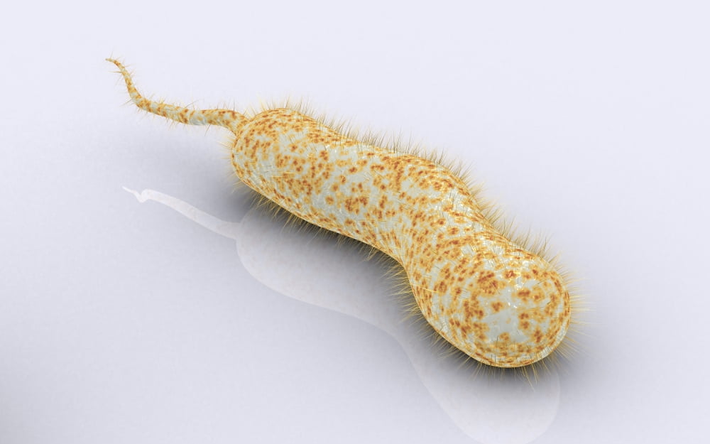 Conceptual image of vibrio cholerae causing cholera Canvas Art - Stocktrek Images (36 x 23)