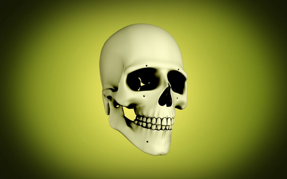 Conceptual view of human skull Canvas Art - Stocktrek Images (18 x 12)
