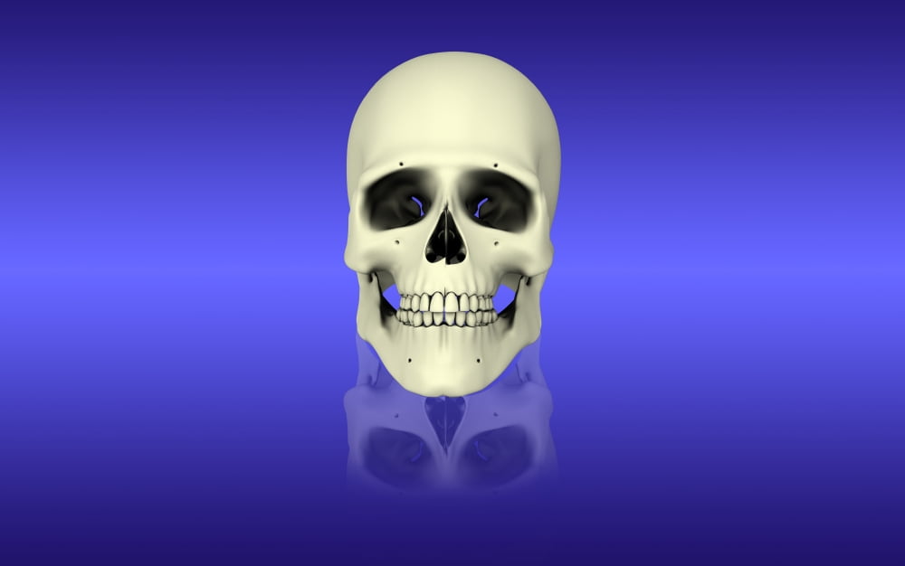 Conceptual view of human skull Canvas Art - Stocktrek Images (36 x 23)