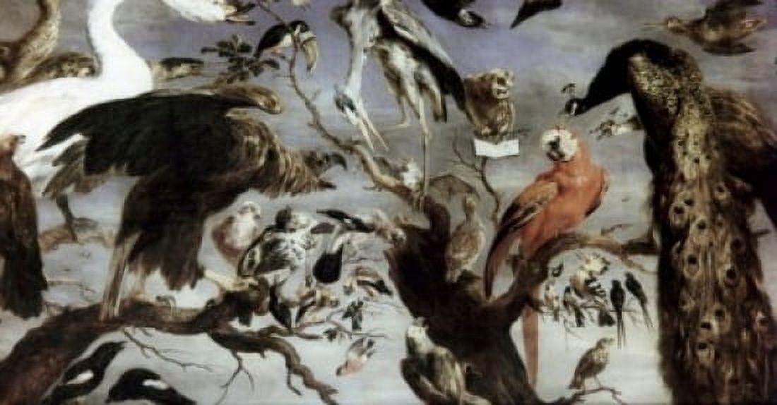 Concert of Birds by Frans Snyders oil on canvas 1579-1657 Russia St Petersburg The Hermitage Canvas Art - Frans Snyders (24 x 36)