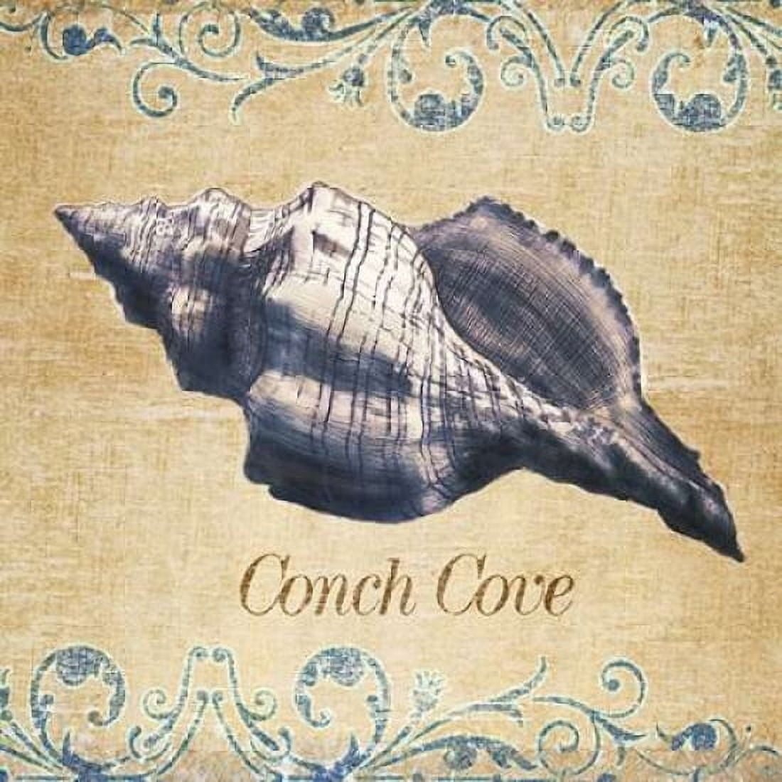 Conch Cove Canvas Art - SD Graphics Studio (24 x 24)