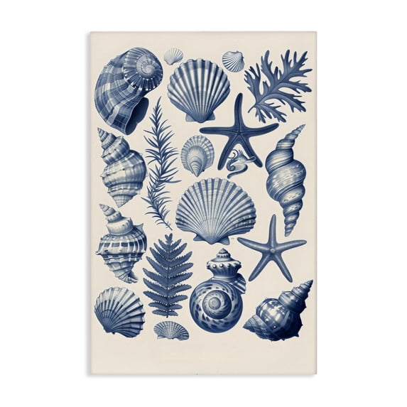 Stupell Industries Conch & Creature Collection Canvas Wall Art, design by LSR Design Studio, 45 x 30