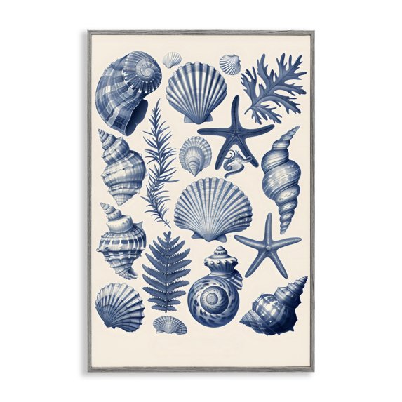 Stupell Industries Conch & Creature Collection Gray Framed Giclee Art, design by LSR Design Studio, 18 x 12