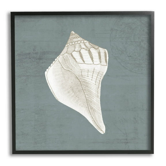 Conch Seashell Stipple Pattern Animals & Insects Graphic Art Black Framed Art Print Wall Art