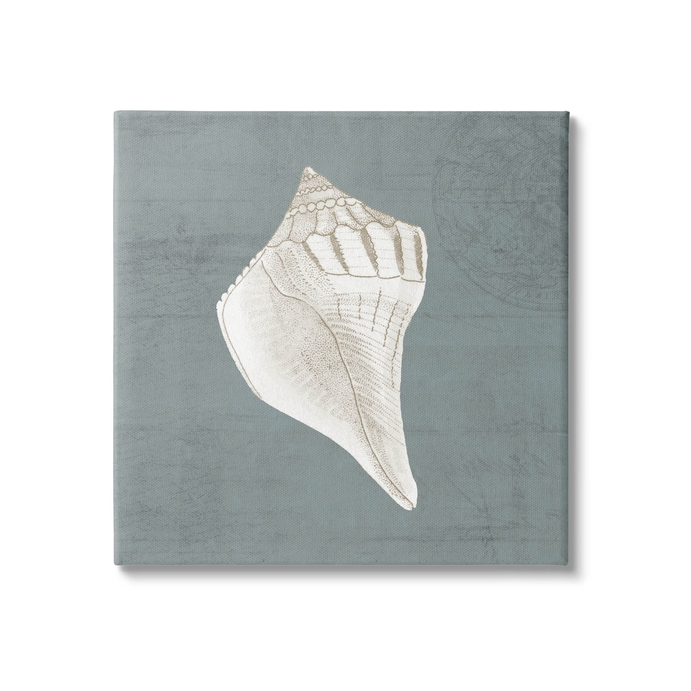 Conch Seashell Stipple Pattern Animals & Insects Graphic Art Gallery Wrapped Canvas Print Wall Art