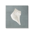 thumbnail image 1 of Conch Seashell Stipple Pattern Animals & Insects Graphic Art Gallery Wrapped Canvas Print Wall Art, 1 of 7