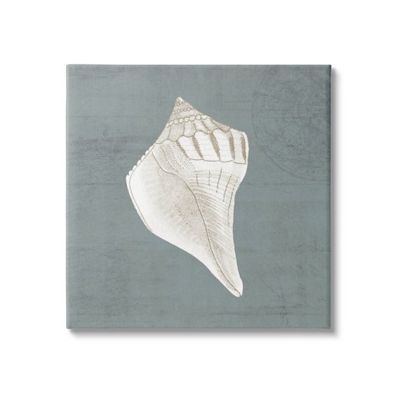 Conch Seashell Stipple Pattern Animals & Insects Graphic Art Gallery Wrapped Canvas Print Wall Art