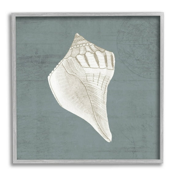 Conch Seashell Stipple Pattern Animals & Insects Graphic Art Gray Framed Art Print Wall Art