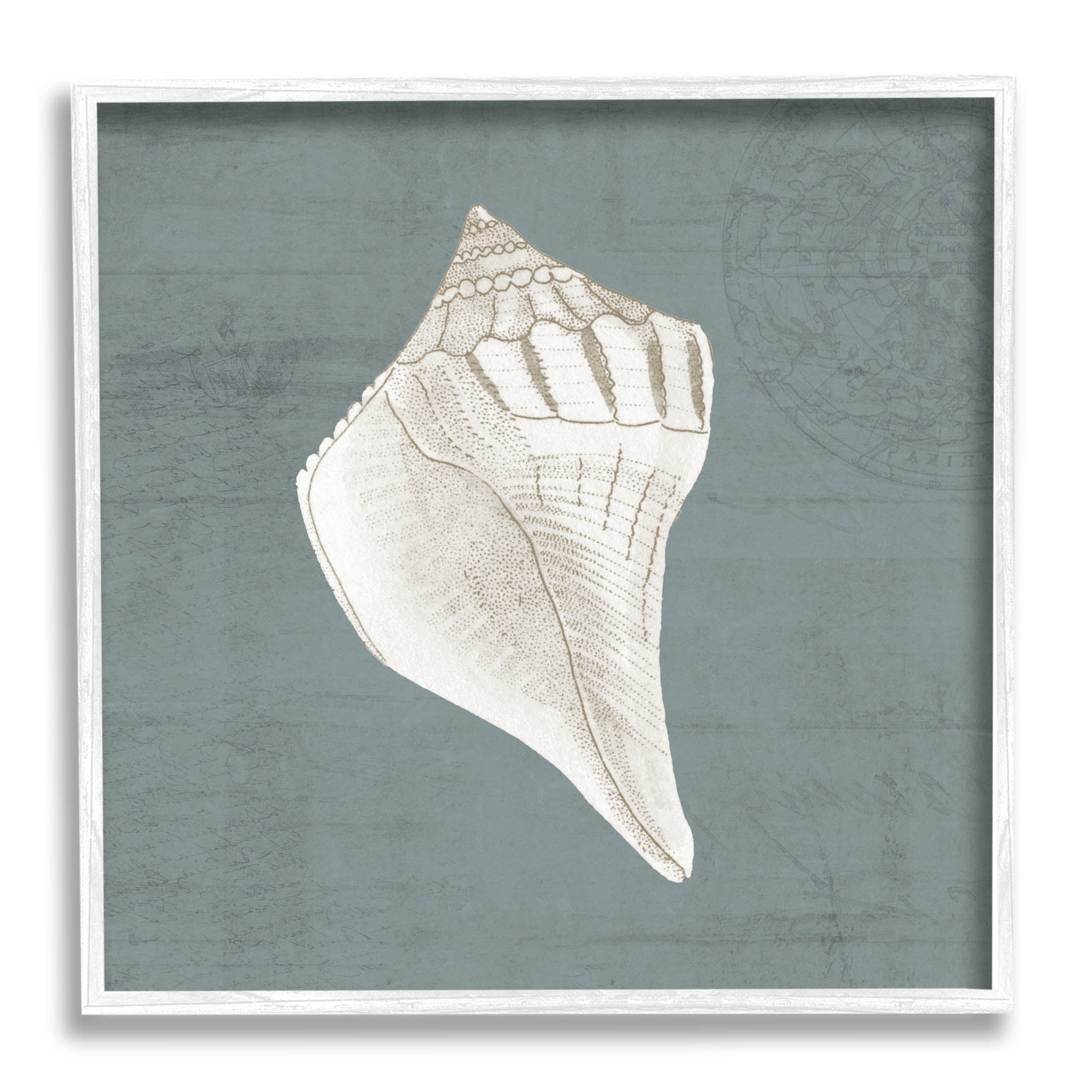Conch Seashell Stipple Pattern Animals & Insects Graphic Art White Framed Art Print Wall Art