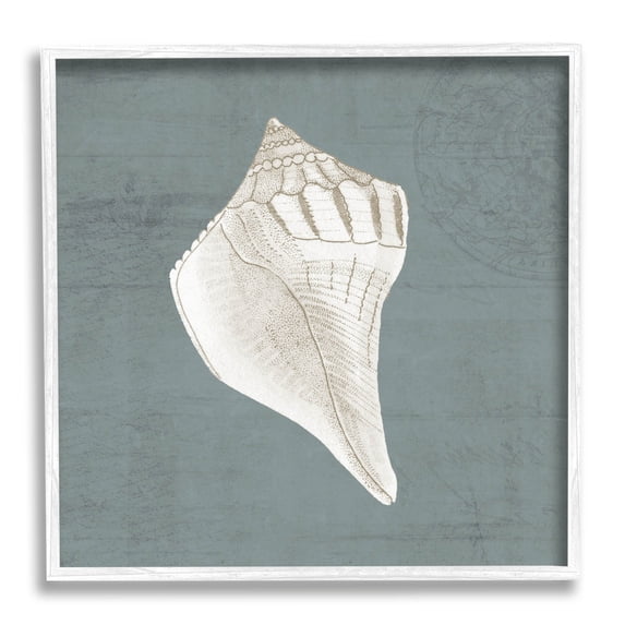 Conch Seashell Stipple Pattern Animals & Insects Graphic Art White Framed Art Print Wall Art