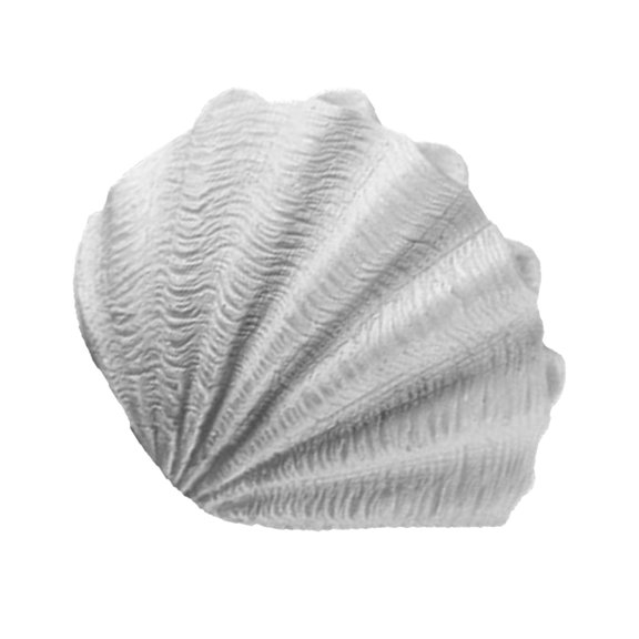 Conch Shaped Night Light for Bedroom – Battery Powered Warm White Glow, Portable Sandstone Look Lamp for Kids & Adults, Ideal for Nightstand or Home Theme