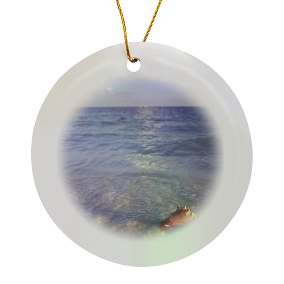 3drose, Conch Shell, Grand Bahama Island, Caribbean-ca05 Jda0000 - Janell Davidson, Circle Porcelain Ornament