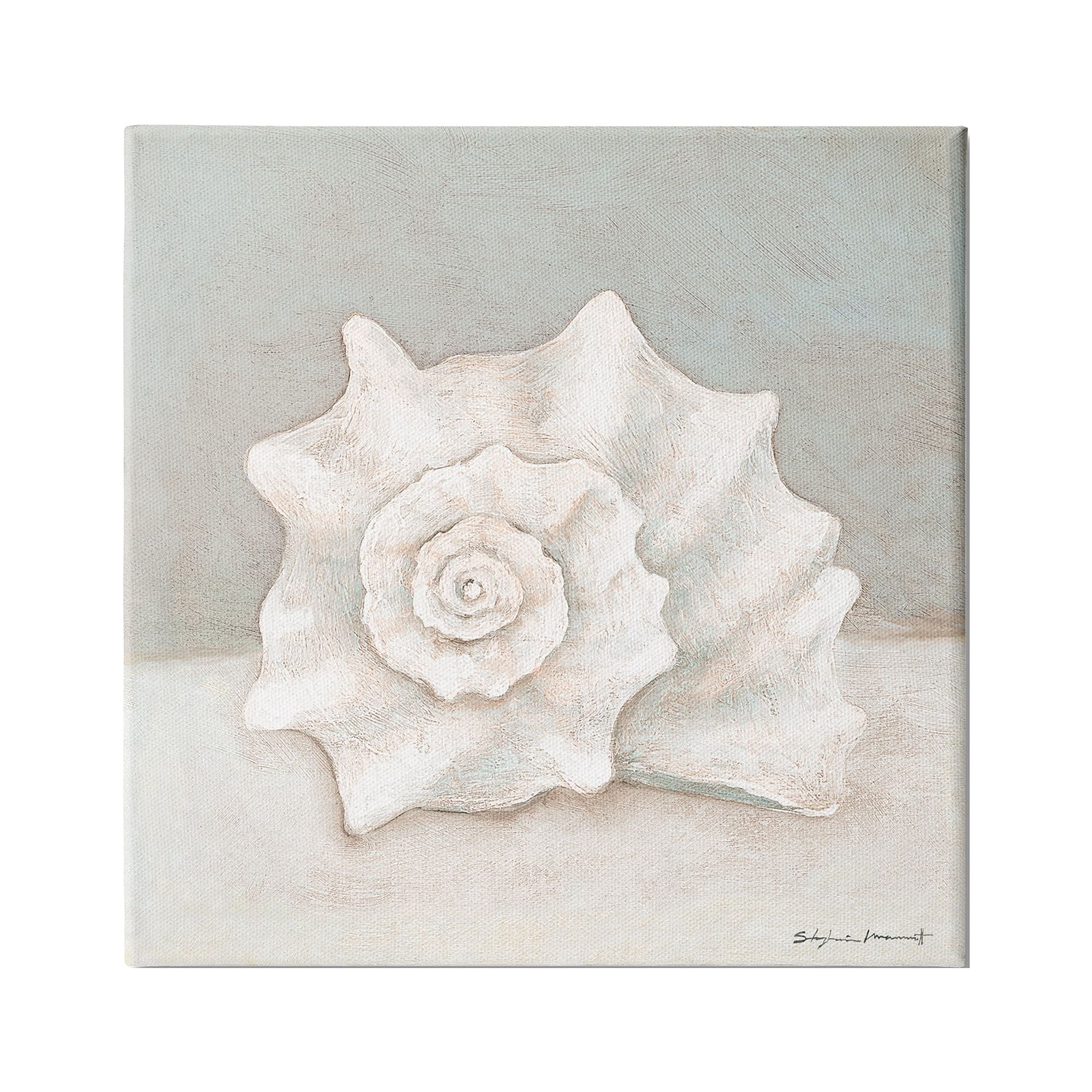 Conch Shell Minimal Beige Seashell Nautical Animal 30 in x 30 in Painting Canvas Art Print, by Stupell Home Décor