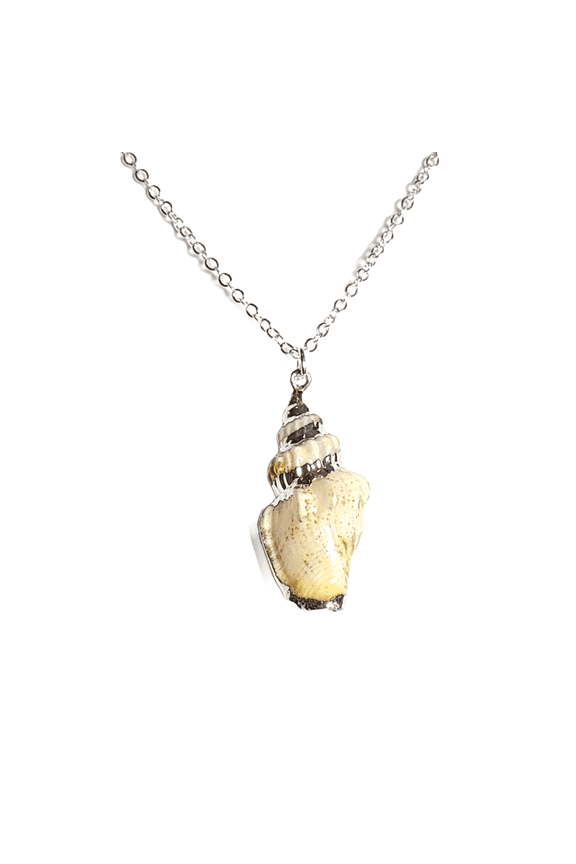 Conch Shell Necklace