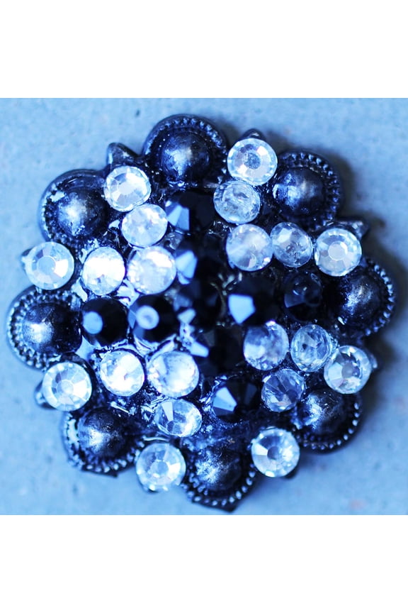 Concho 4 Conchos Rhinestone Horse Saddle Western Bridle Berry Co508