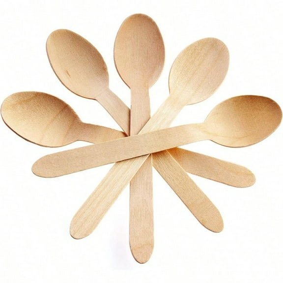 Concion entials Disposable Wooden Cutlery Spoons Compostable and Earth Friendly 6.25 Inch Length Pack of 100 Spoons