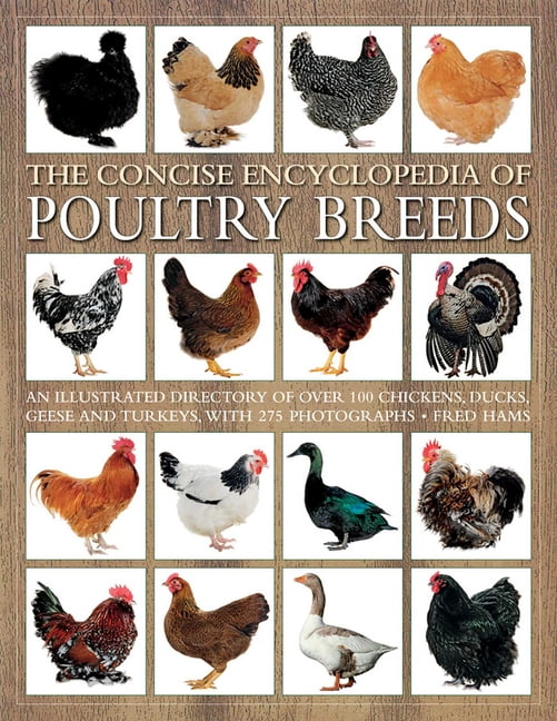 FRED HAMS The Concise Encyclopedia of Poultry Breeds: An Illustrated Directory of Over 100 Chickens, Ducks, Geese and Turkeys, wit, (Paperback)