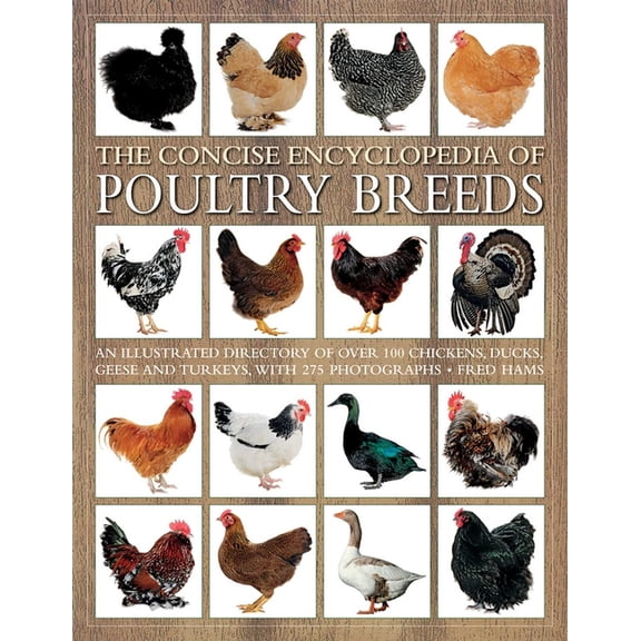 The Concise Encyclopedia of Poultry Breeds: An Illustrated Directory of Over 100 Chickens, Ducks, Geese and Turkeys, wit, (Paperback)