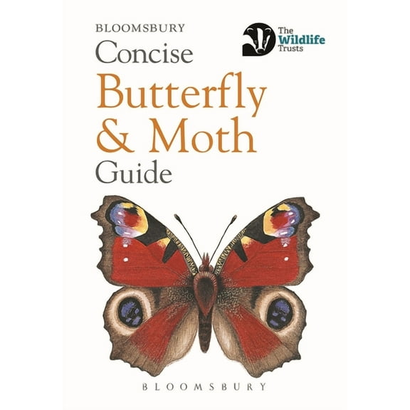 Concise Guides: Concise Butterfly and Moth Guide (Paperback)