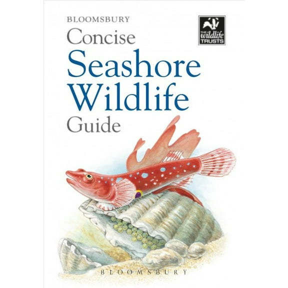 Concise Guides: Concise Seashore Wildlife Guide (Paperback)