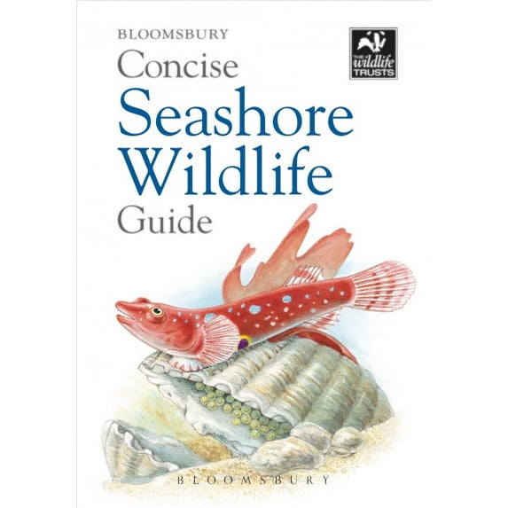 Concise Guides: Concise Seashore Wildlife Guide (Paperback)
