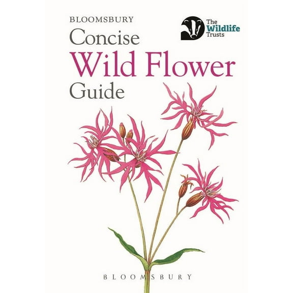 Concise Guides Concise Wild Flower Guide, (Paperback)