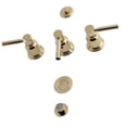 thumbnail image 1 of Concord Modern 3-Handle Bidet Faucet, Polished Brass, 1 of 1