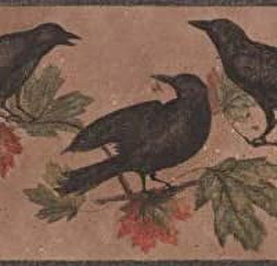 Concord Wallcoverings Gothic Wallpaper Border Featuring Crows Branches with Flowers, Colors Black, Pink, Green, Size 9 Inches by 15 Feet WL5686B