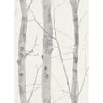 thumbnail image 1 of Concord Wallcoverings Textured Wallpaper floral Featuring tree branches, grey white, 21 In x 33 Ft (56 sq. ft), 6305-10, 1 of 1