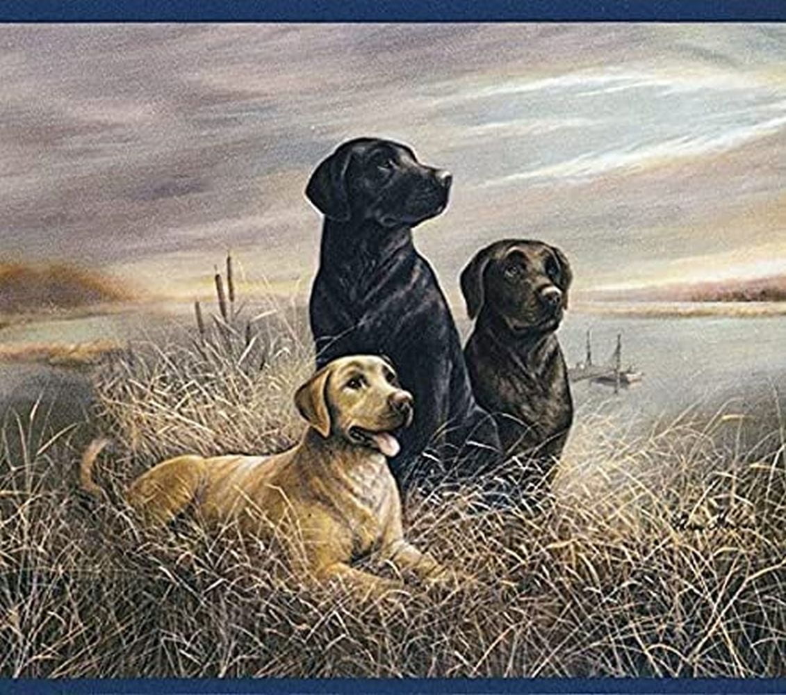 Concord Wallcoverings Wallpaper Border Animals Pattern Labrador Hunting Lake Nature, Beige Green Black Blue, 7 Inches x 15 Feet AW77372L