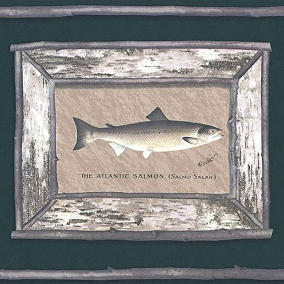 Concord Wallcoverings Wallpaper Border Featuring Salmon and Trout Fishes Pictures, Perfect Wall D?cor for Cottage RV or Small Country-Side Hotel, Size 9 Inches by 15 Feet CW102741
