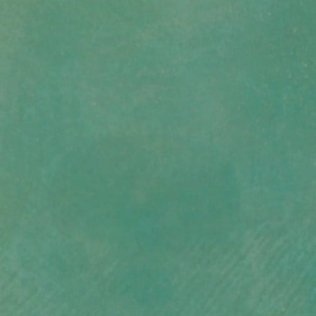 Concrete Acid StainSemi-Transparent Professional Grade Cement Stain (16 Ounce, Azure Sky - Interior Only Color)