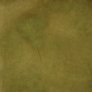 Concrete Acid StainSemi-Transparent Professional Grade Cement Stain 16 Ounce, Moss Green - Interior Only Color