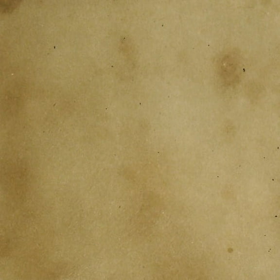 Concrete Acid StainSemi-Transparent Professional Grade Cement Stain (Mountain Road, 1 Gallon)