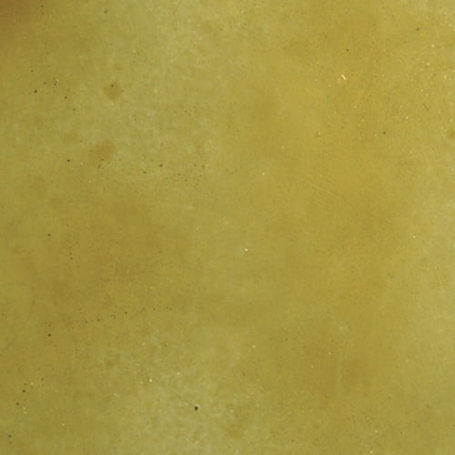 Concrete Acid StainSemi-Transparent Professional Grade Cement Stain (Summer Wheat, 1 Gallon)