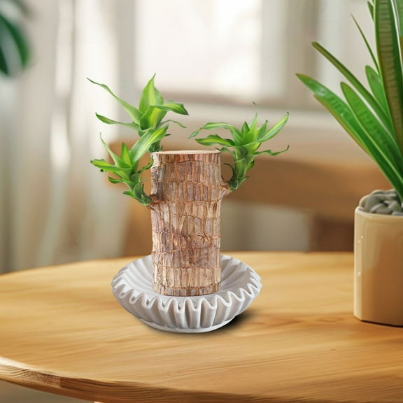 Concrete Decorative Bowl - White Large Decorative Bowls for Home Decor - Coffee Table Bowl Decor - Scalloped Ruffle Centerpiece Bowl Coffee Table Bookshelf And Console Table Home Decoration