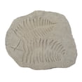 thumbnail image 1 of Concrete Fossil Accent Stone with Fern Leaves Imprint, Gray- Saltoro Sherpi, 1 of 5