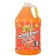 Concrete and Driveway Cleaner, 1 gal