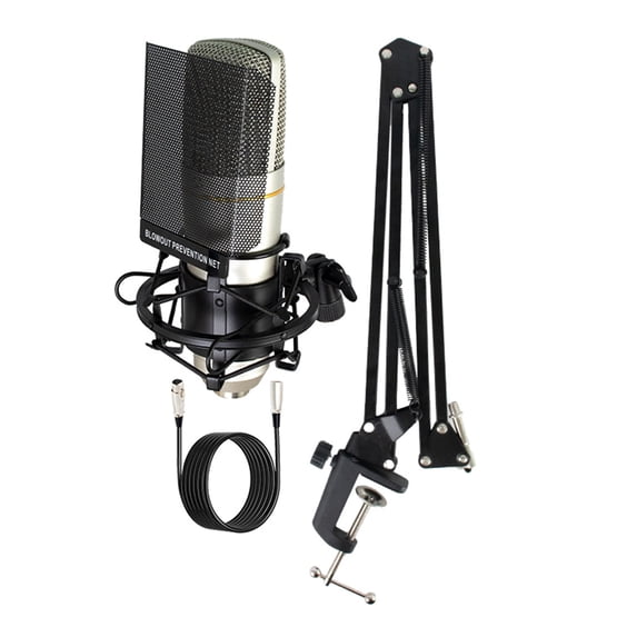 Condenser Microphone Large Diaphragm Mic for Vocal Recording Podcasting ...