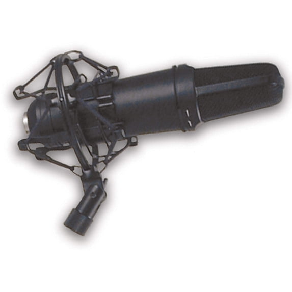 Condenser Microphone