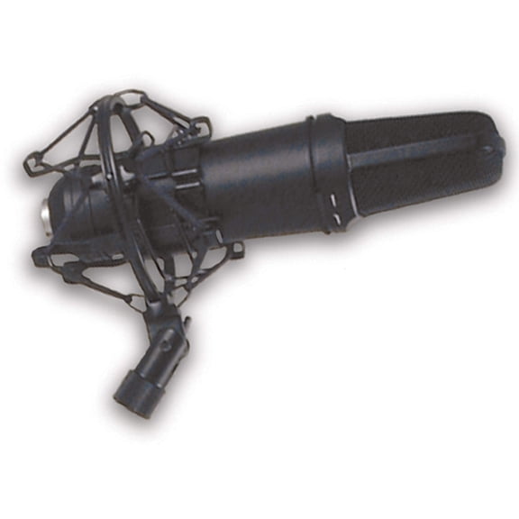 Condenser Microphone