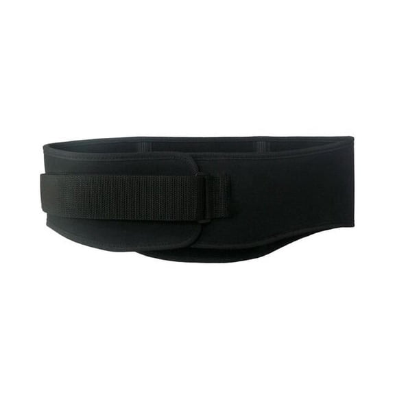 Condor Back Support w/Lumbar Pad,Black,Nylon,M 6T559