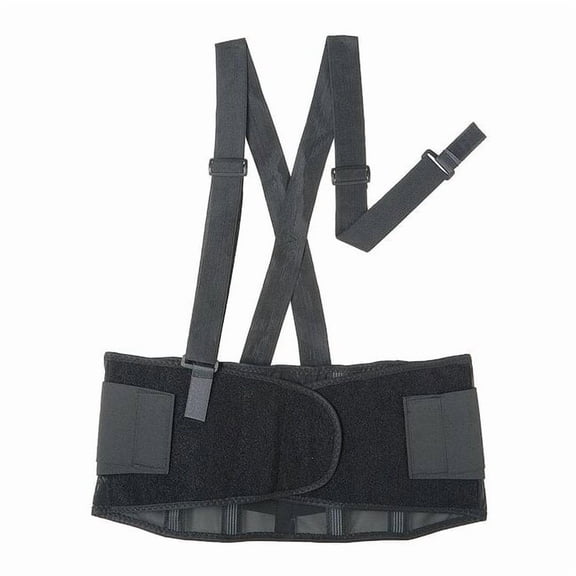 Condor Back Support w/Stay,Black,Polyester,M 6T563