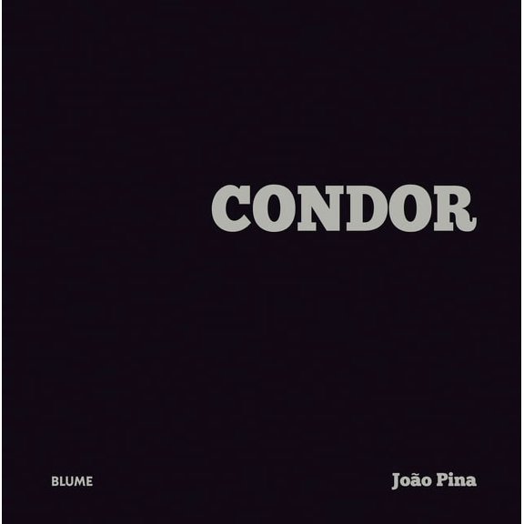 Condor (Hardcover)