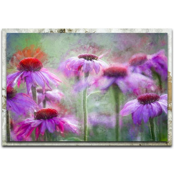 Cone Flowers in the Morning Light Distressed Frame