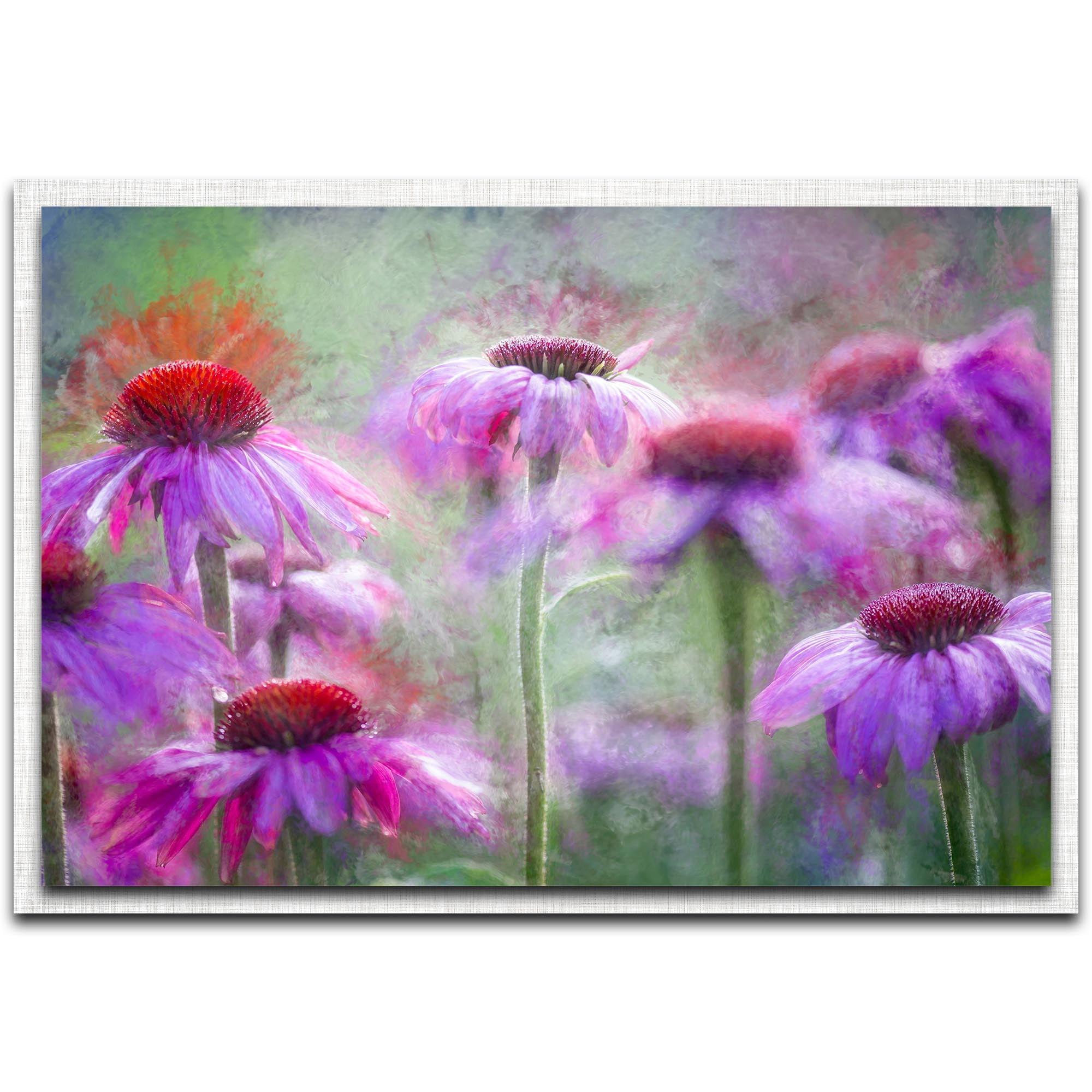 Cone Flowers in the Morning Light Parchment Frame