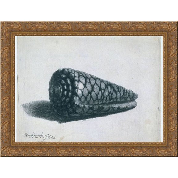 Cone Shell (Conus marmoreus) 24x20 Gold Ornate Wood Framed Canvas Art by Rembrandt