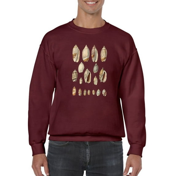 Cone Shell Display I Sweatshirt Men -Jennifer Goldberger Designs, Male Medium